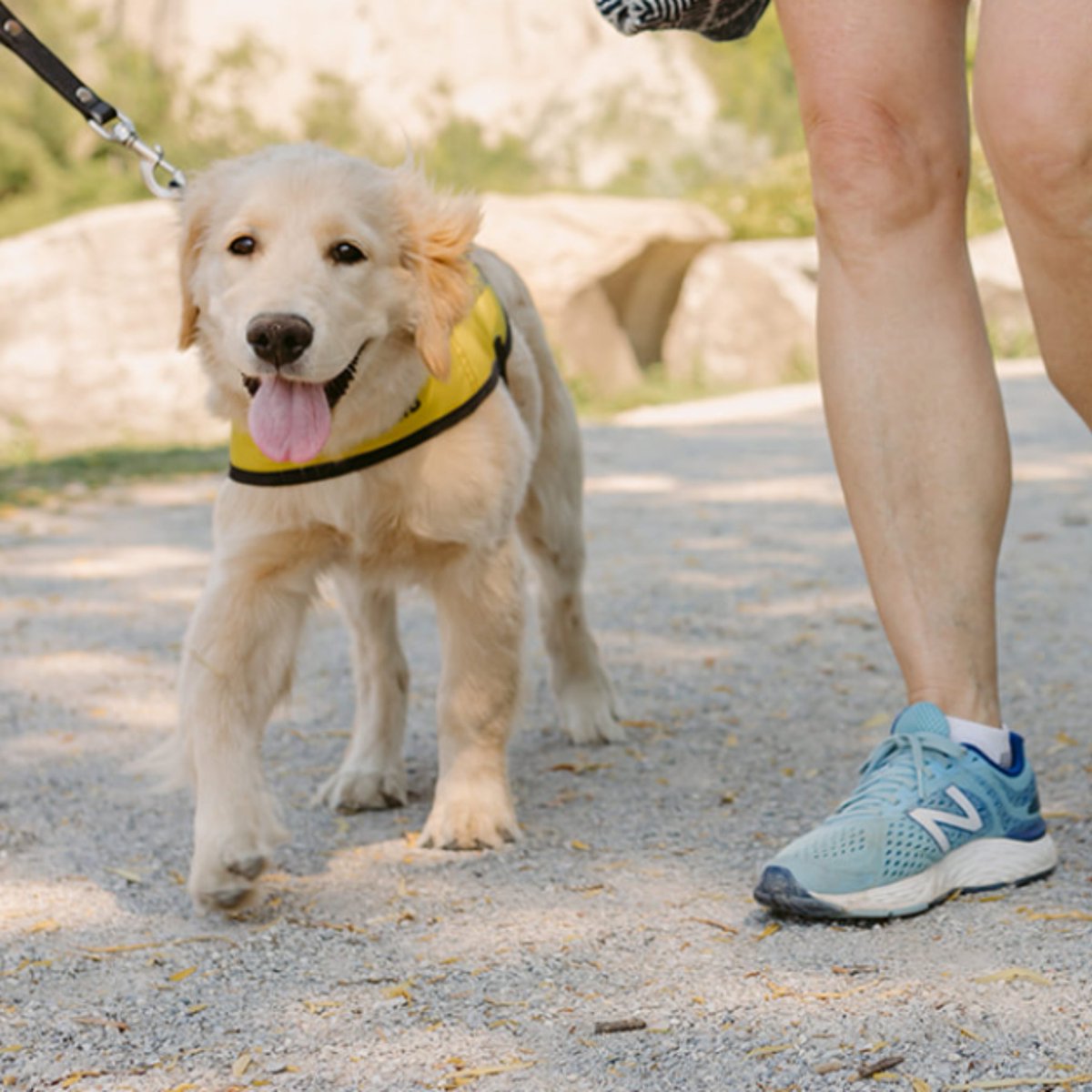 Still one week left to participate in 2024 Pup Crawl, our virtual 5k race in support of CNIB Guide Dogs! Sign up today to help change the lives of people who are blind — and your fundraising efforts will be MATCHED up to $50,000 by Mary and John Crocker! cnib.ca/pupcrawl