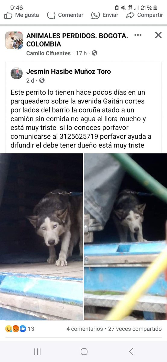 jazpin78's tweet photo. Porfa ayúdame a difundir para que esté lindo peludito encuentre un lindo lugar que lo amén mucho @akalapatriciam @AnimalesBOG @AsociacionMi @elpatrullero_ @FundacionLucila @laurarubiogu @PlataformaALTO @MONYRODRIGUEZOF @carlospopular @EsperanzaGomez @RescataAnimales @ https://t.co/GZ3ZZq2WnL
