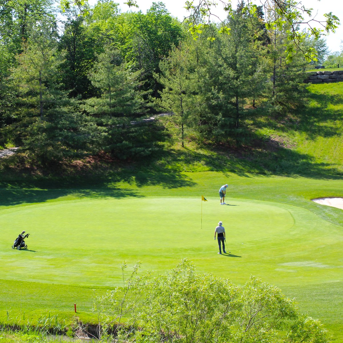 stcgcc's tweet photo. Golf is good for you. 
Golf can provide the physical, social and mental benefits to significantly improve your quality of life.   
Learn more about the many #benefitsofgolf at https://t.co/2yBl44tlFH
@golfcanada

#stcgcc #golflife https://t.co/DHD3KxzXKY