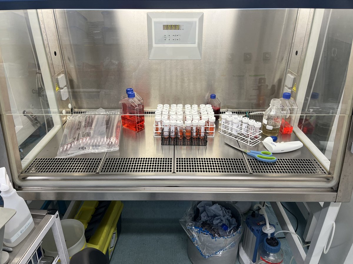 Hey <a href="/alex_tonks/">Alex Tonks</a> can you let Rhys know his hold on the cord blood extraction record ends today?