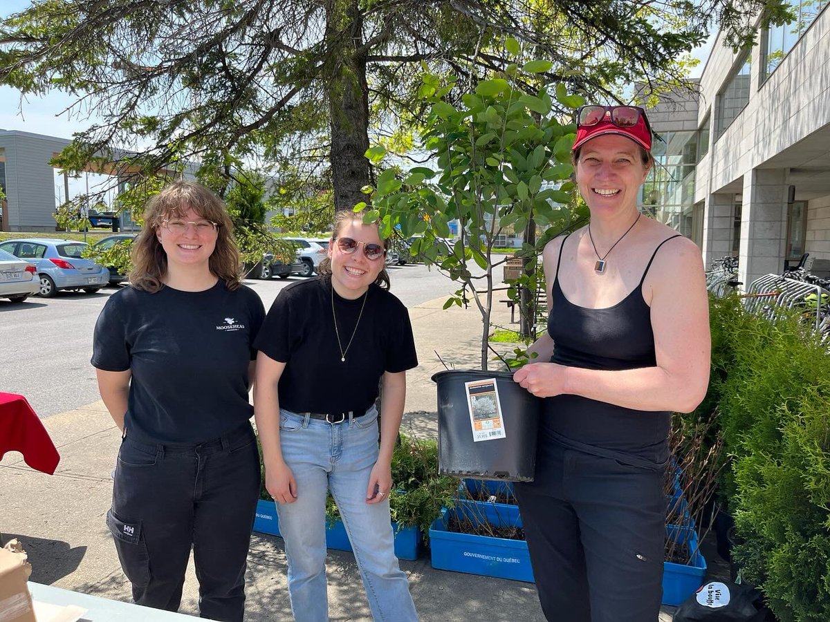 ChaireCRAUM's tweet photo. Hier, nous avons distribué des plants d'arbres à la communauté universitaire de l'@universitelaval. Merci à tous pour votre participation en si grand nombre et pour avoir fait de cet événement un véritable succès ! @ffggulaval @CEF_CFR @mrnfqc #AF2R🌳👏🌲 https://t.co/yIncNvWlgZ