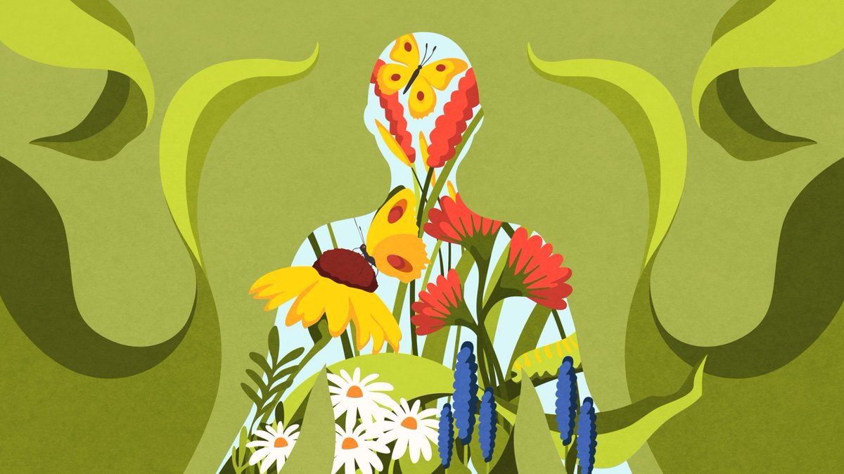 Directory of Illustration tweet media