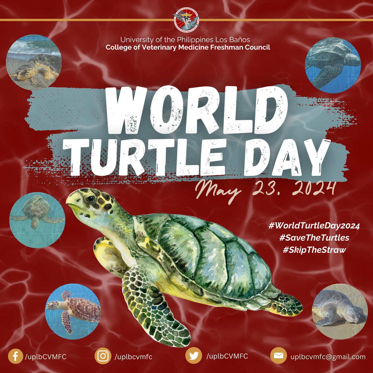 uplbcvmfc's tweet photo. CALLING AL STUDENT COFFEHOLICS!
SKIP THE STRAW, SAVE A TURTLE!

[OFFICIAL STATEMENT OF THE COLLEGE OF VETERINARY MEDICINE FRESHMAN BLOC ASSEMBLY REGARDING WORLD TURTLE DAY]

#WorldTurtleDay2024
#SaveTheTurtles
#SkipTheStraw https://t.co/jhdAzSR0gD