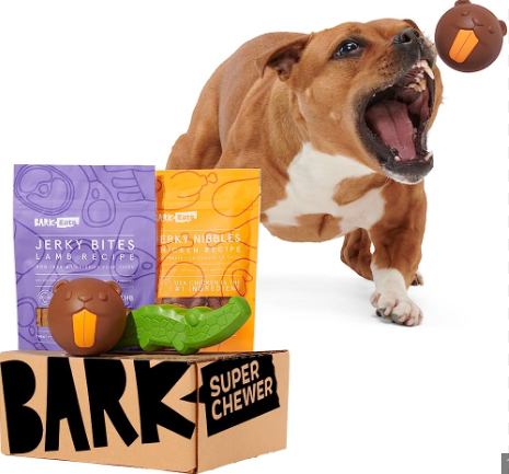 INEOSICANFdn's tweet photo. Pawsitively thrilled to give a shoutout to @bark , @barkbox  for their pawsome donation to the upcoming ICAN Charity Shootout Raffle! The lucky winner will fetch a tail-wagging prize. Big woofs of gratitude for their support! 🐾 #barkforgood https://t.co/R67K1KUaHa