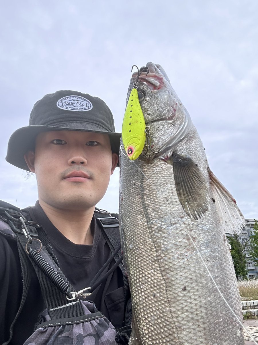 UKサッパデイゲーム楽しい笑