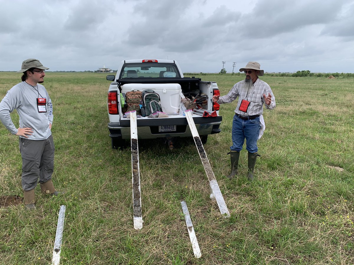 M.C. Ricker 🐲 tweet media