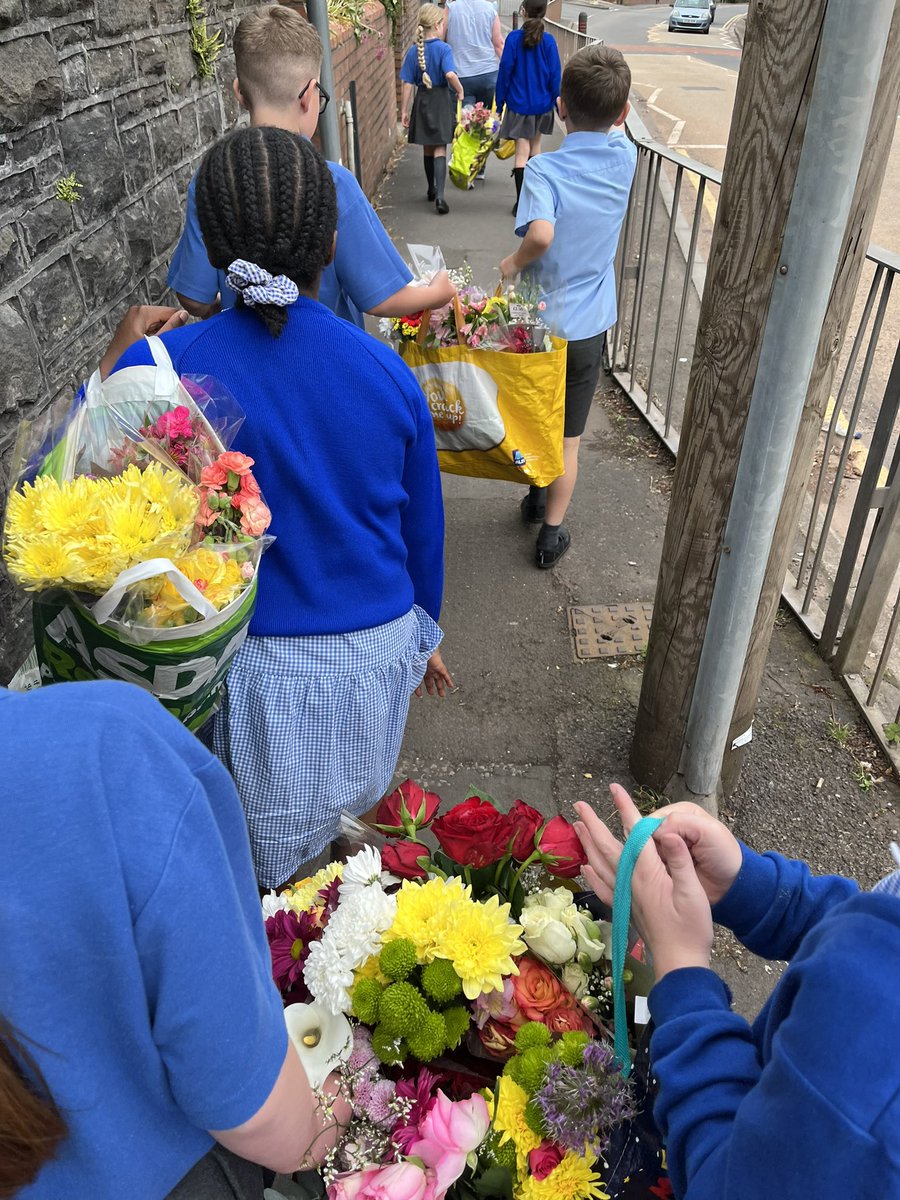 St Mary's Primary tweet media