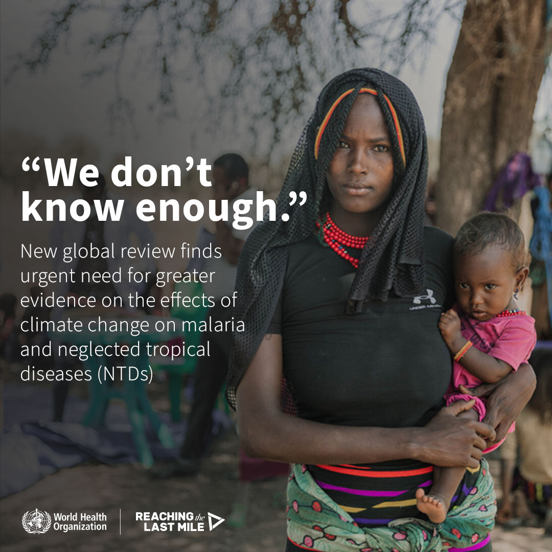 NTD Support Center (@ntd_sc) on Twitter photo A major <a href="/WHO/">World Health Organization (WHO)</a>-led review has highlighted an urgent need for research to better understand the effects of climate change on #malaria and #NTDs, and build effective mitigation strategies. Read more here: academic.oup.com/trstmh/advance…
#BeatNTDs | #endmalaria A major <a href="/WHO/">World Health Organization (WHO)</a>-led review has highlighted an urgent need for research to better understand the effects of climate change on #malaria and #NTDs, and build effective mitigation strategies. Read more here: academic.oup.com/trstmh/advance…
#BeatNTDs | #endmalaria