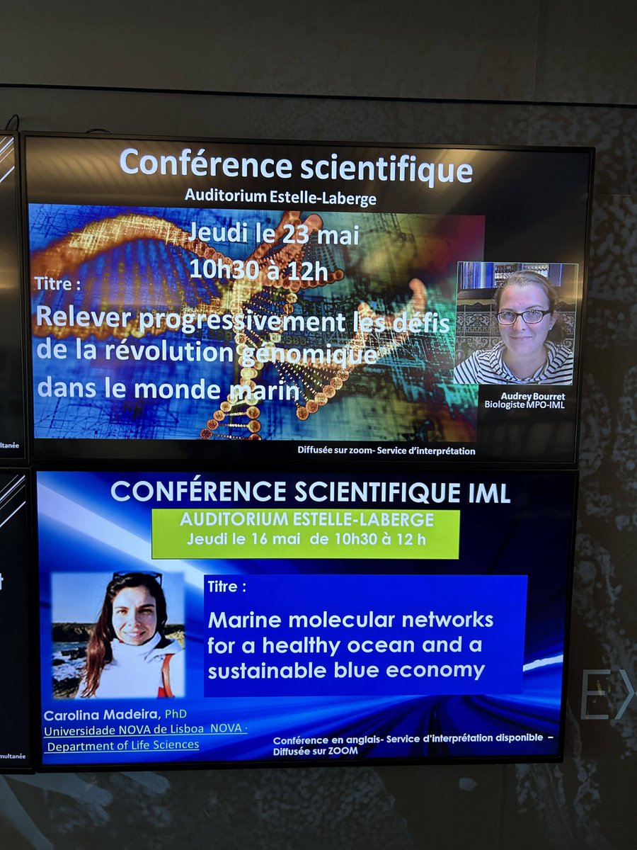 Carolina Madeira tweet media