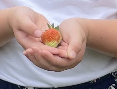 We had so much fun planting our Sunflower seeds and eating some strawberries from our #nutswampnest garden on <a href="/OutdoorClassDay/">Outdoor Classroom Day</a> <a href="/MTPSpride/">Middletown Township Public Schools</a>