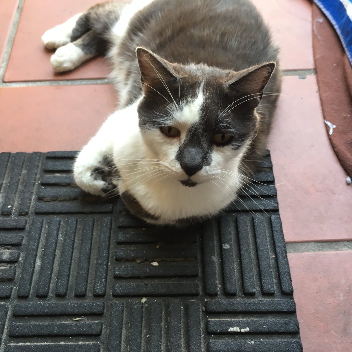 ballothecat's tweet photo. This #ThrowbackThursday will be the #UncleMax edition https://t.co/0G53KsKxfO