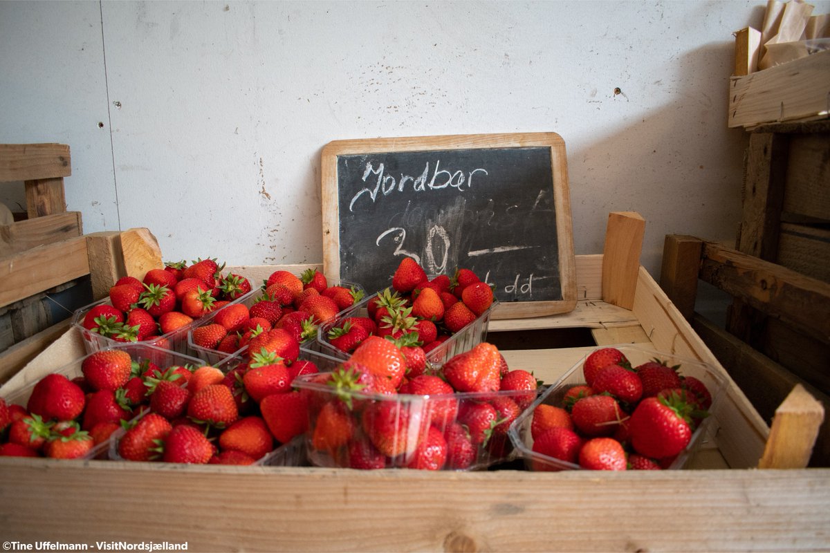 denmarkdotdk's tweet photo. 🍓Strawberry season is here🍓 

To celebrate, we give you a recipe for the classic Danish Strawberry Tart. We kid you not, it will probably be the best tart you will have this year!🤤

Check out the recipe here: https://t.co/ChAbqRITRn https://t.co/NKgeYPjvD6
