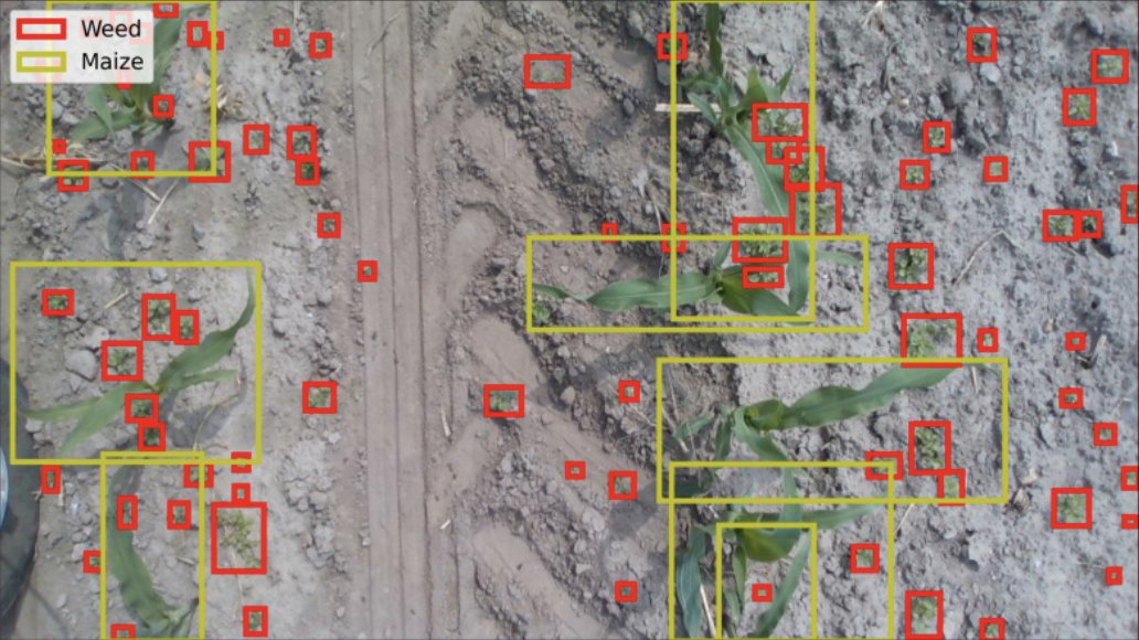 annals_csis's tweet image. Evaluating detection algorithms for #agriculture, in particular #plantdetection: “AI-based Maize and Weeds detection on the #edge with CornWeed Dataset” by N. Iqbal, C. Manss, C. Scholz, D. Koenig, M. Igelbrink, A. Ruckelshausen. ACSIS Vol. 35 p. 577–584; tinyurl.com/mpb8kuju