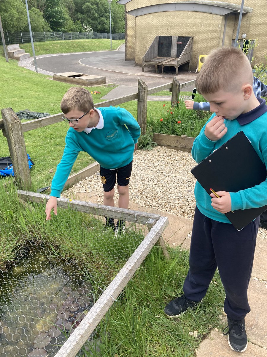 Dosbarth_7 tweet media