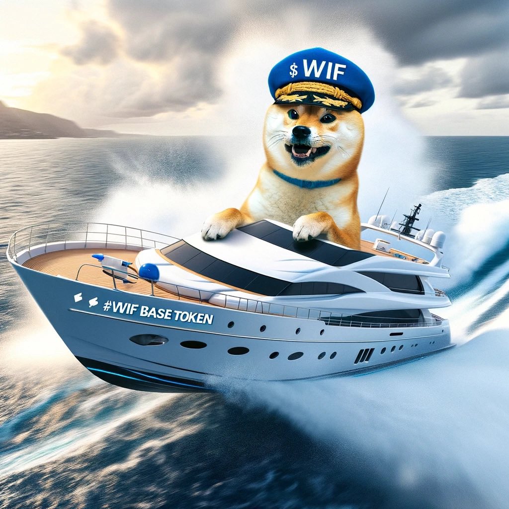 BaseTrilli's tweet photo. @whiskerd00dle @GevCrypto @wifbasetoken Bags packed ready to mooooon #WIF #WIFBASE #WIFHAT https://t.co/mxfT5THBjX