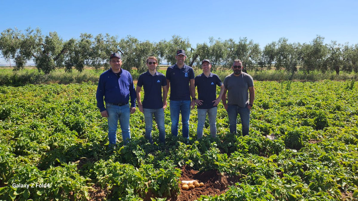 Olaf van Campen tweet media