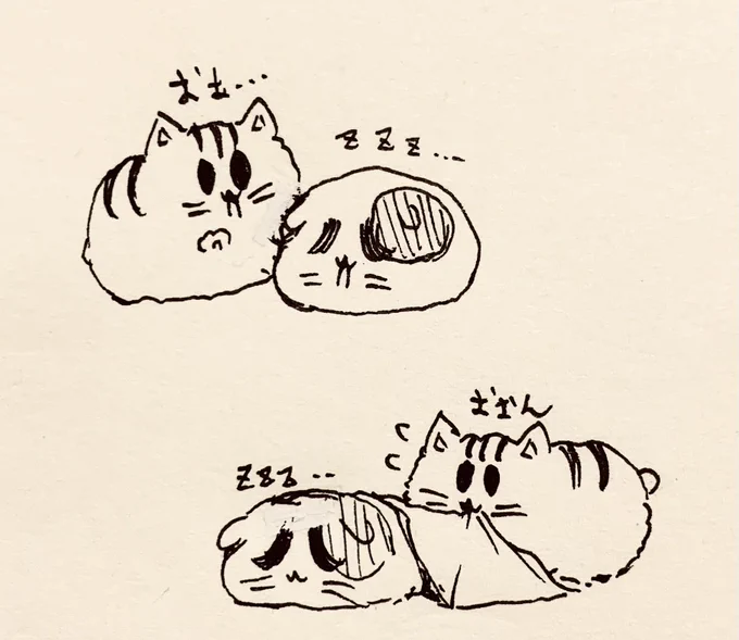 おやすみなさい…💤 