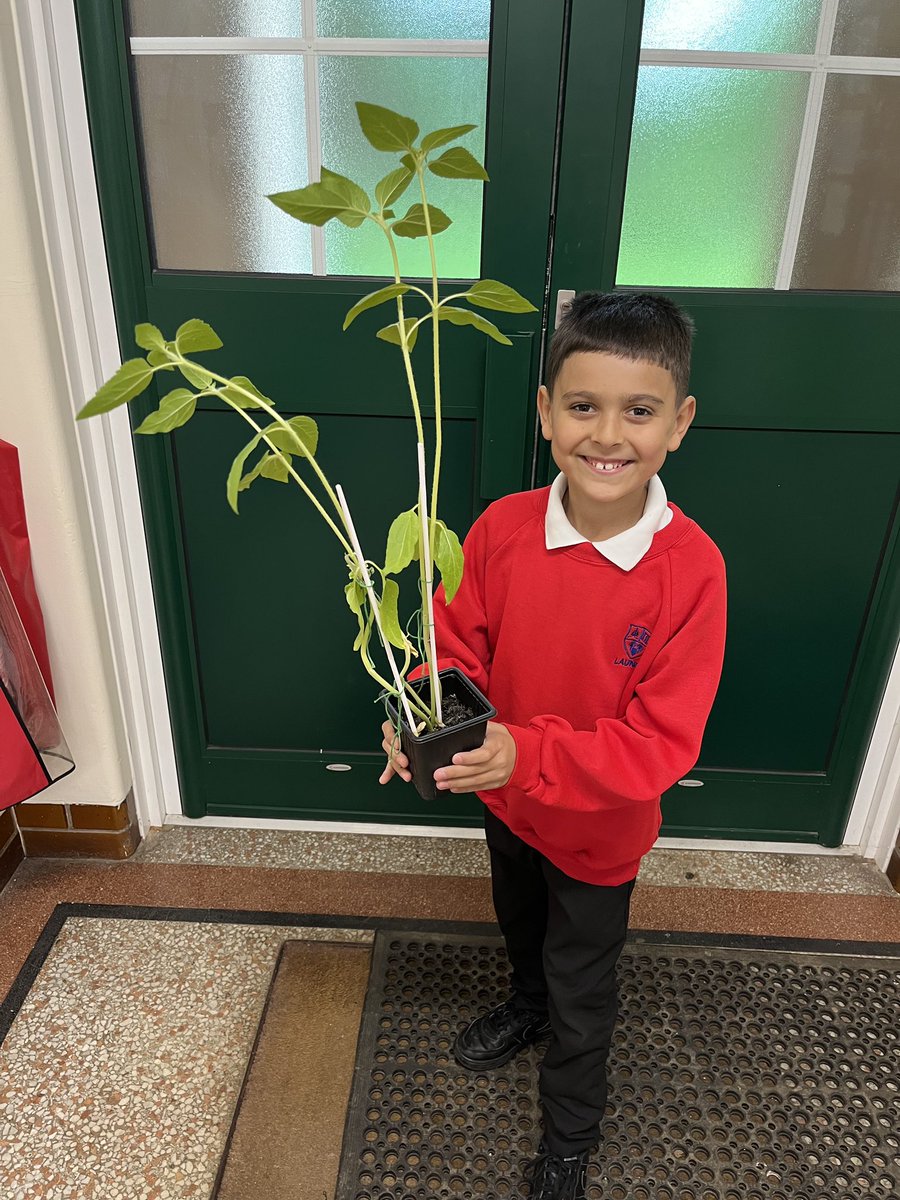 Launde Primary School tweet media