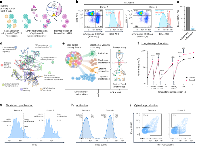 Mapping variant effects on anti-tumor hallmarks of primary human T cells with base-editing screens go.nature.com/3yxjW7q