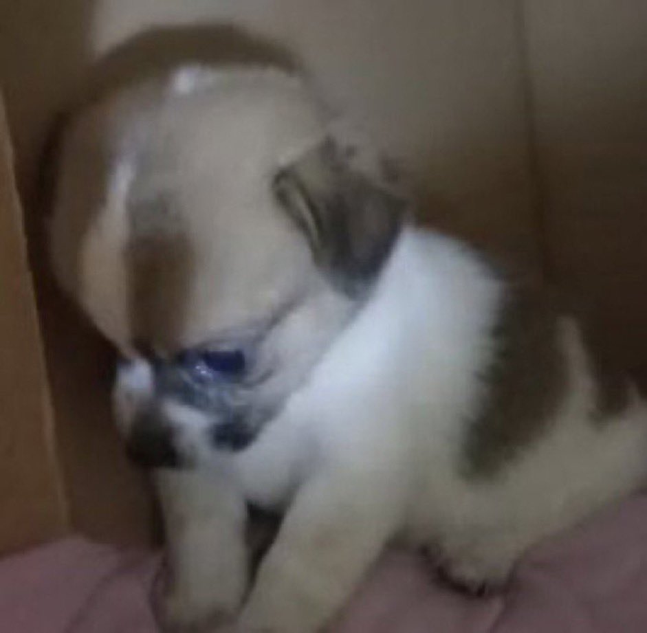 evelyndetails's tweet photo. meu deus a daphne foi mt babaca pqp nao acredito que ela fez isso https://t.co/VoWK7xqYQA