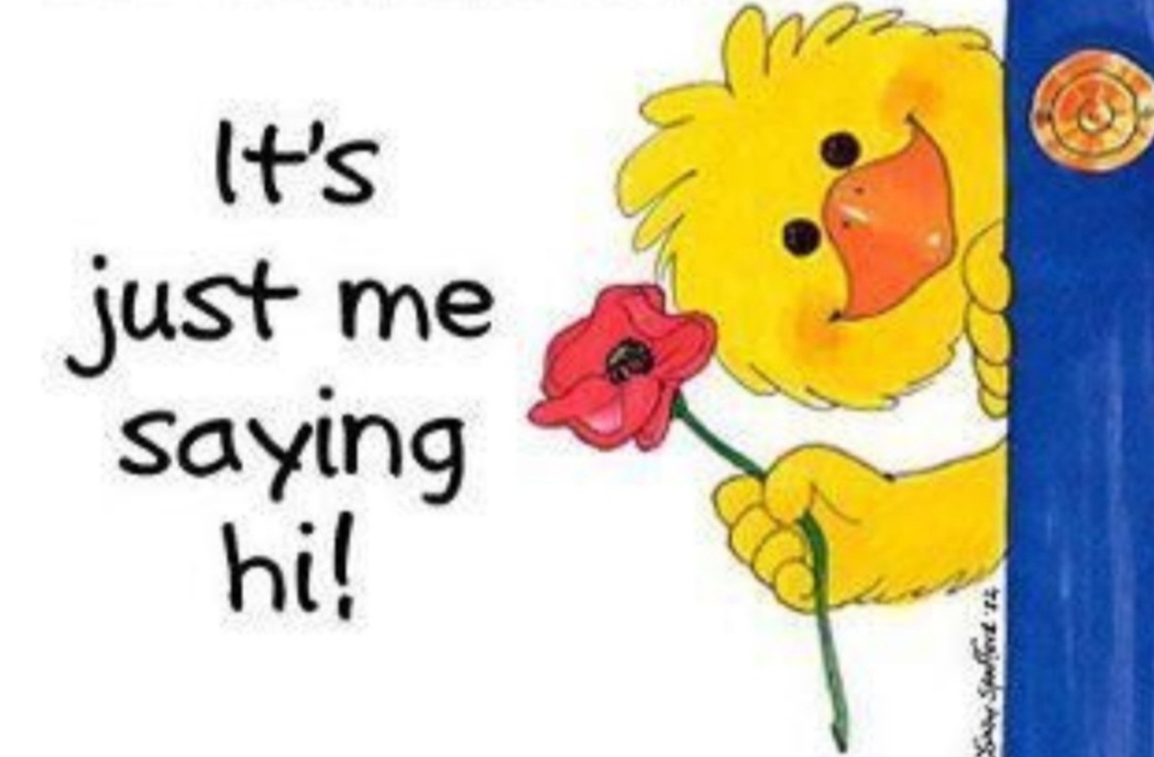 softtail65's tweet image. Here we fucking go again, I mean Hi! 👋
If you see this, please check to see if we are still following each other.  
Yep, we gotta do this again. Wtf. This nonsense is getting old &amp;amp; tired...🙄😬🙄
If you see this &amp;amp; we are still mutuals, hit the like &amp;amp; repost 
❤️ &amp;amp; 🔄
Thanks!