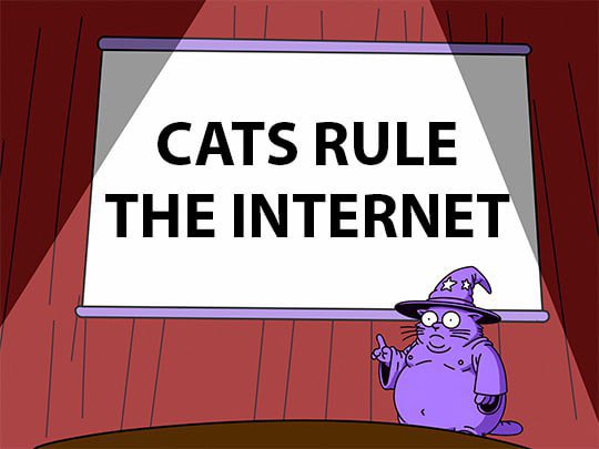 Magic Internet Cat tweet media