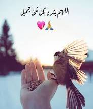 تبوعوني اتبعكم فوار