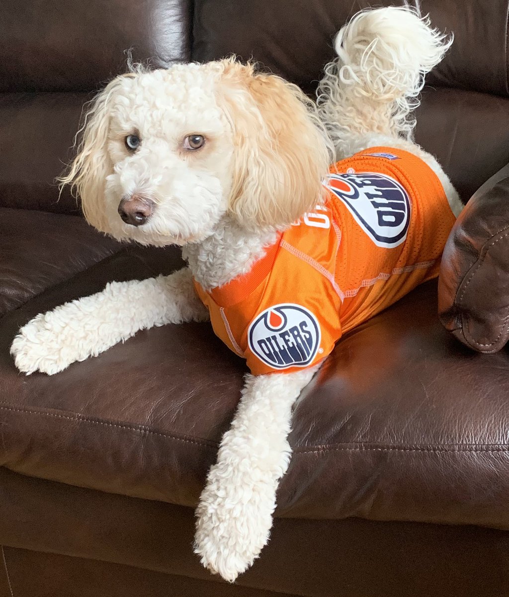 It’s #ThursdayThrowback and Game Day fur my @EdmontonOilers Cmon, let’s get er done! Game 1 round 3 🐶 #LetsGoOilers
