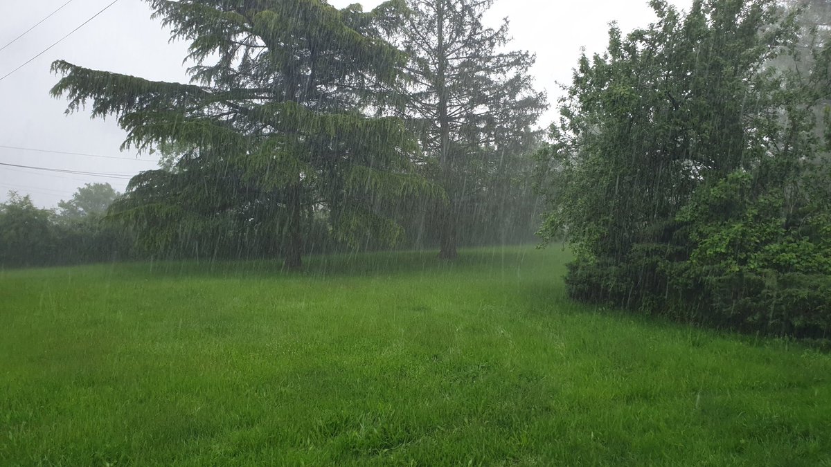 Je crois que je vais mourir de ras le cul de la pluie. Je vous jure que c'est possible.