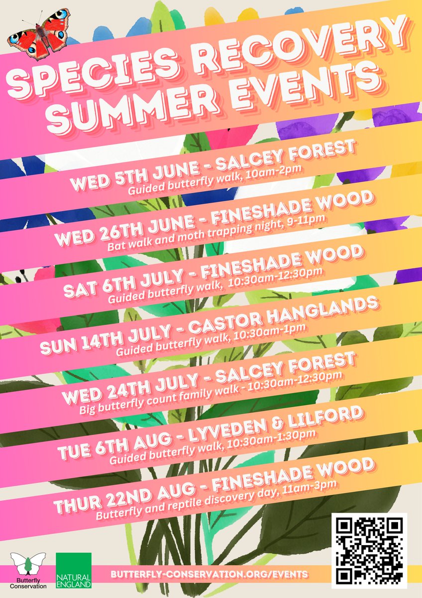 Our Northants @savebutterflies #SpeciesRecoveryProgramme summer events calendar is HERE! ☀️🥳 Visit butterfly-conservation.org/events for info on each event (select Beds & Northants in the 'Search by Branch' dropdown menu). Let's gooo 🔥 @BedsNthantsBC @NaturalEngland @ForestryEngland