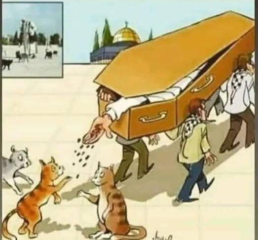 DÜNYADA TEK BAŞIMADA KALSAM SİZİN İÇİN SAVAŞIP HEP SİZİN VARLIĞINIZ İÇİN MÜCADELE EDECEĞİM.
TÜM MADDİ ve MANEVİ İMKANLARIMLA SON NEFESİME KADAR YANINNIZDA OLACAĞIM.

#sokakhayvanlarisahipsizdeğil