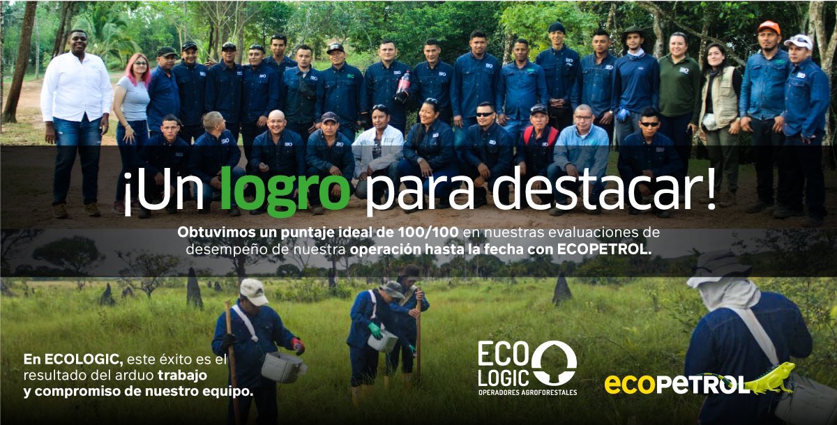 Hemos trabajado de manera colaborativa con <a href="/ECOPETROL_SA/">Ecopetrol</a> para asegurar el cumplimiento de los más altos estándares ambientales y promover prácticas sostenibles en todas nuestras operaciones. 🌳✅

¡Gracias al equipo por su compromiso y excelencia! 💪🏻