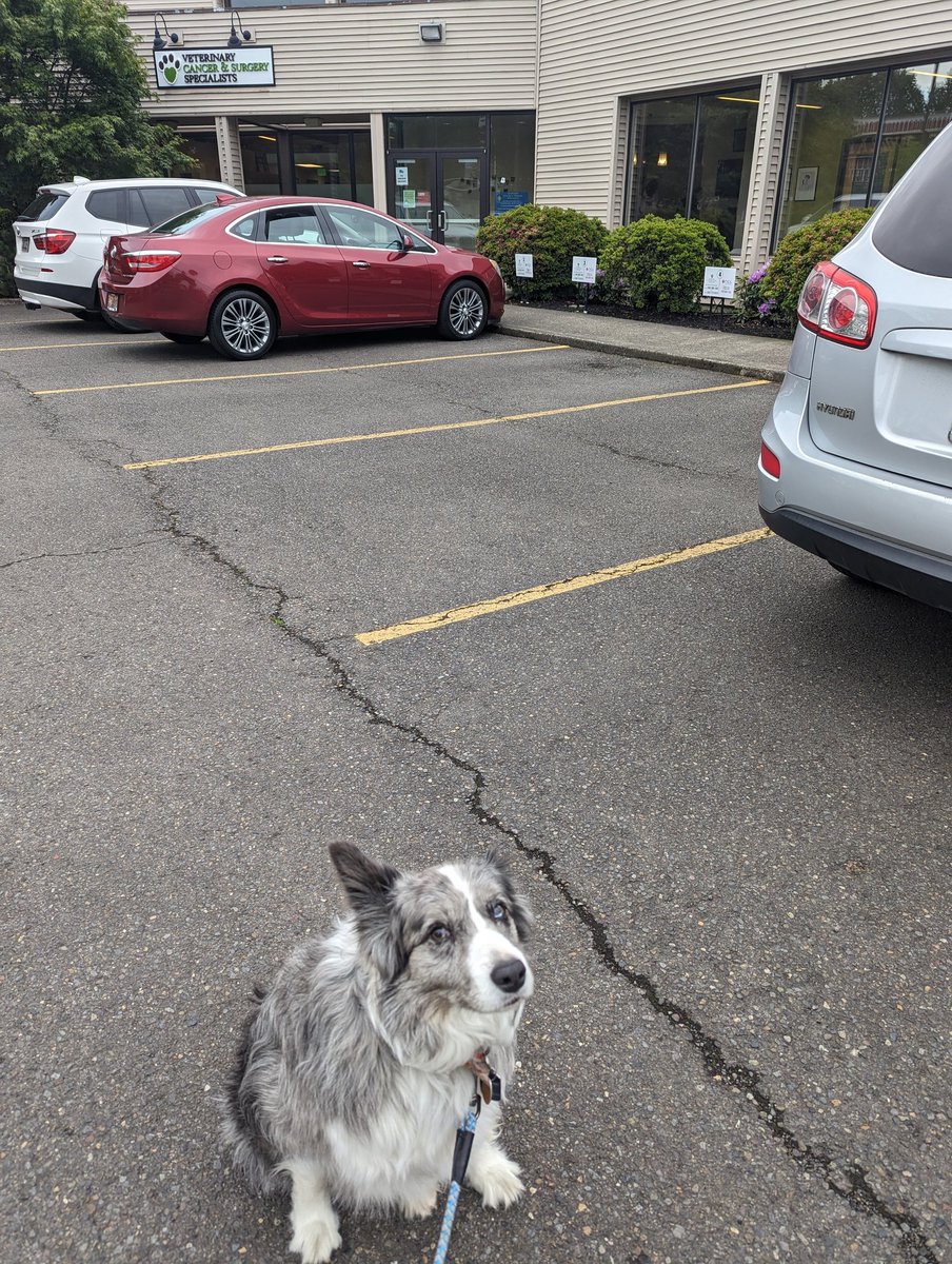 Brian Koffler tweet media