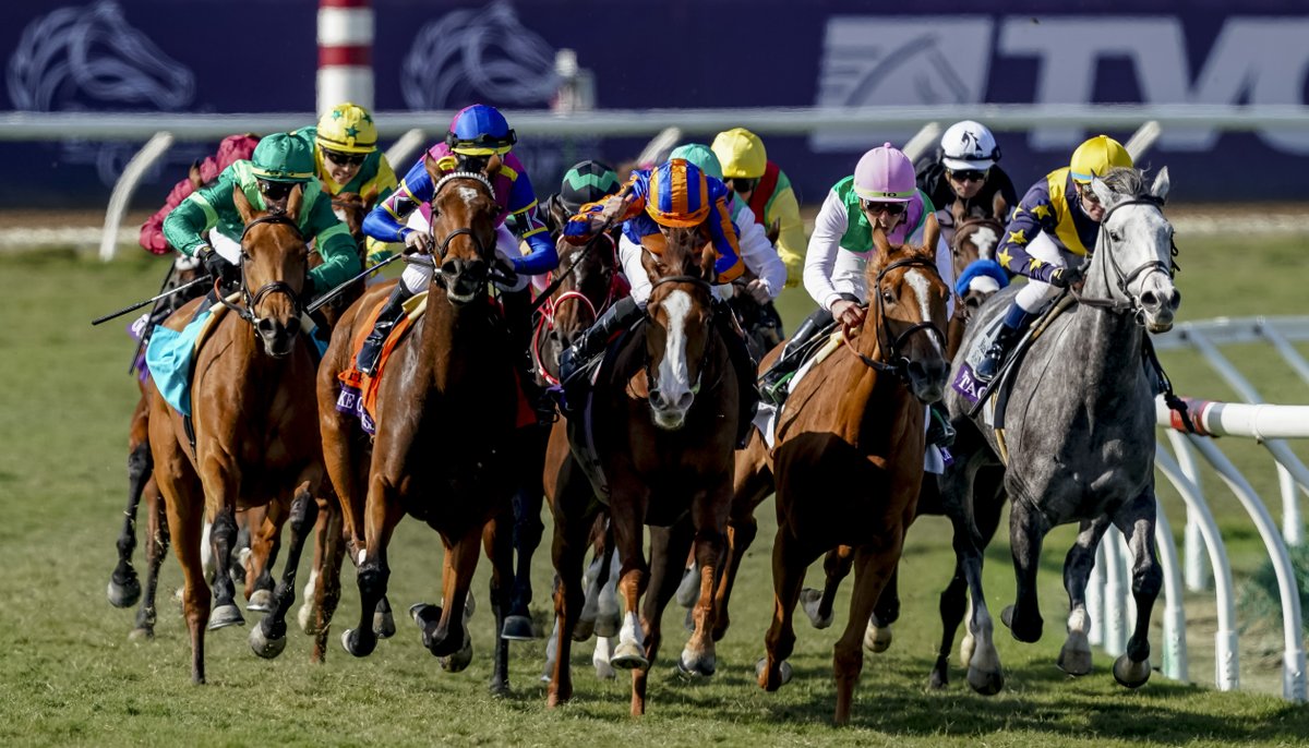 #BC24 = 🌴 + 🏇 + 🏆 + 🏄‍♂️ = You won't want to miss it. Get your tickets now! thebc.ltd/3Cp24Kx 📷: @EclipseSports