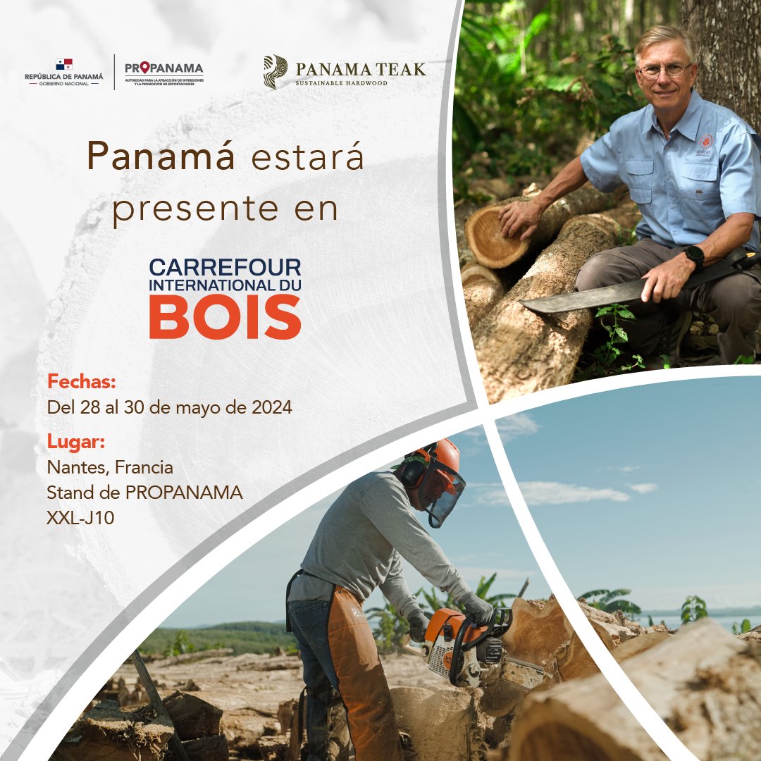 Panamá estará presente en <a href="/CarrefourduBois/">carrefourdubois</a> 2024, con 5 empresas panameñas que promocionarán la calidad de nuestra industria maderera y explorarán nuevos mercados europeos, ya que es un evento que reúne la mayor gama de productos de este sector.