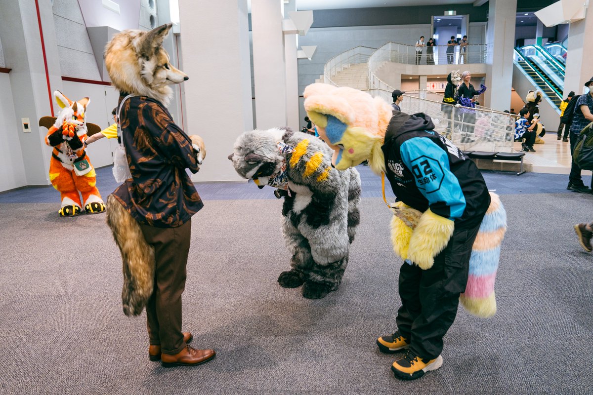 '廊下で走るな! 言ってんだろう?'
💦💦💦
🦊@Amber_ovopack
🐺@Wata_wolf
🦝@racoonwolf
📷@chami1798
#FursuitFriday #OFFF2024