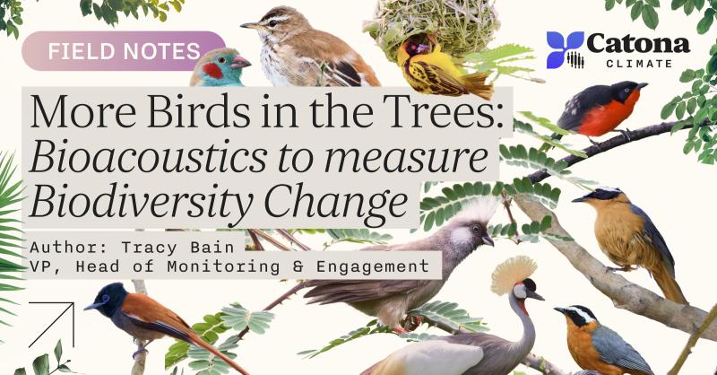 Arbimon (@arblmon) on Twitter photo Using bioacoustics to measure biodiversity change in Kenya with <a href="/CatonaClimate/">Catona Climate</a> & <a href="/Treesftf/">Trees for the Future</a>! 🌱🇰🇪 
How do agricultural practices impact wildlife? Read the field notes from Tracy Bain of <a href="/CatonaClimate/">Catona Climate</a> in this NEW interactive blog ⬇️
catona.com/resources/bioa… Using bioacoustics to measure biodiversity change in Kenya with <a href="/CatonaClimate/">Catona Climate</a> & <a href="/Treesftf/">Trees for the Future</a>! 🌱🇰🇪 
How do agricultural practices impact wildlife? Read the field notes from Tracy Bain of <a href="/CatonaClimate/">Catona Climate</a> in this NEW interactive blog ⬇️
catona.com/resources/bioa…