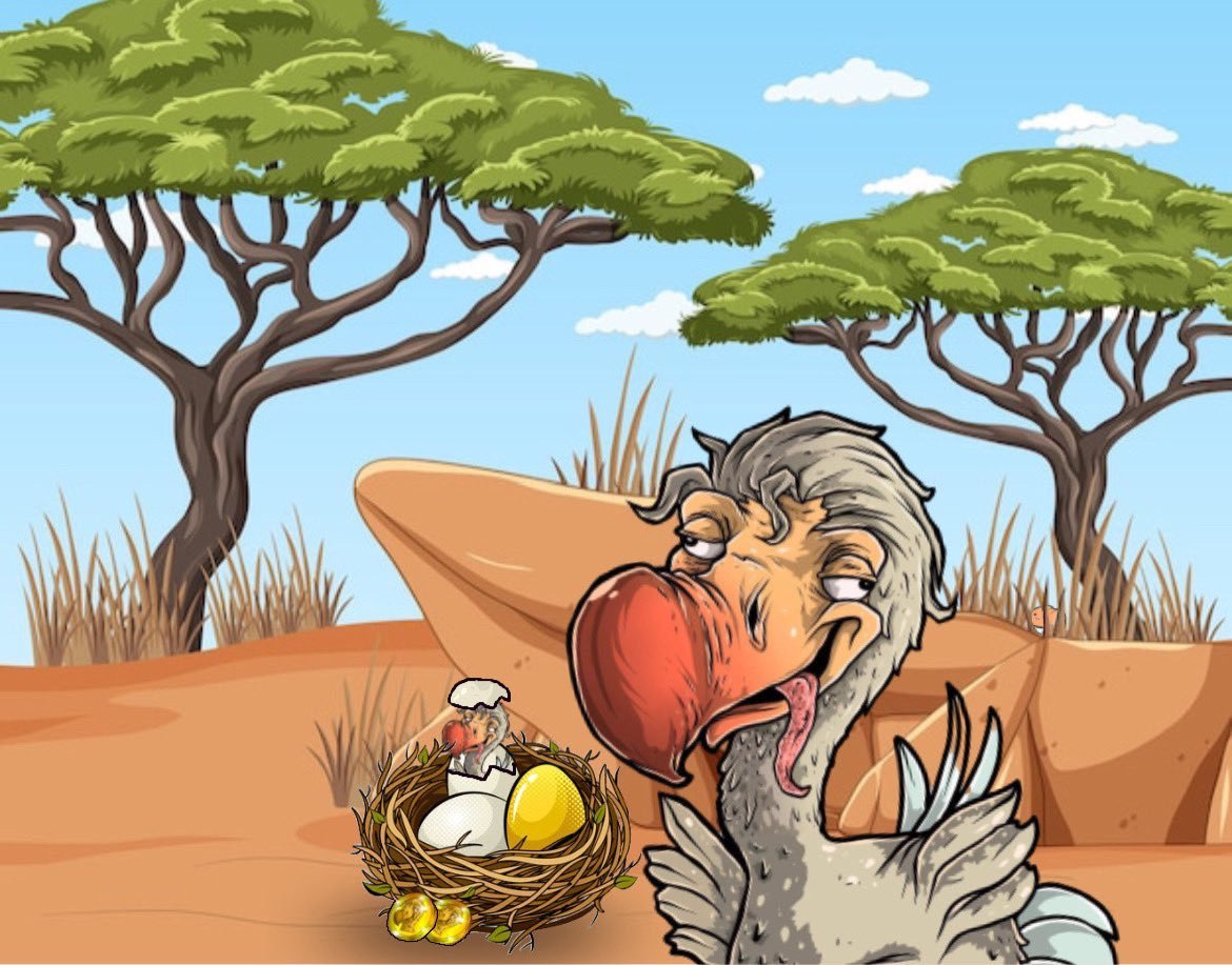 Dodo tweet media