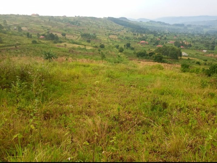 PLOTS ON SALE
#PraisePropertyConsultsUganda 

In Mukono_Mbalala, Jinja road.

All plots have ready land titles

Electricity &water are at site

Each 50*100ft at UGX 11.5m

We accept part payments

Call/WhatsApp @mugabi_praise 
0706147006/0783821918