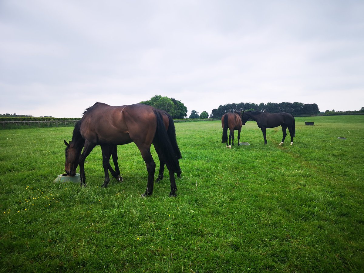 The boys and girls are here for their summer break
