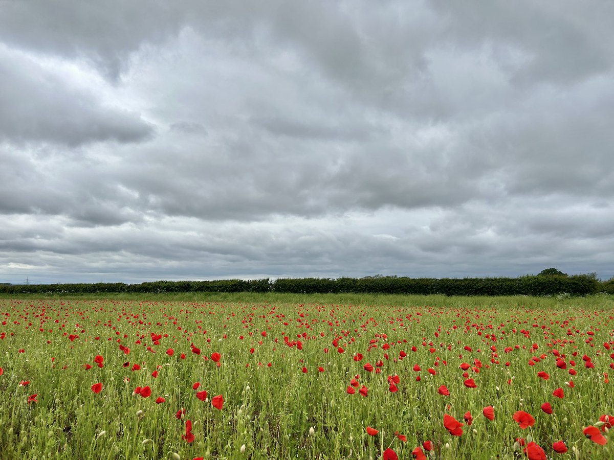 WeatherWolds tweet picture