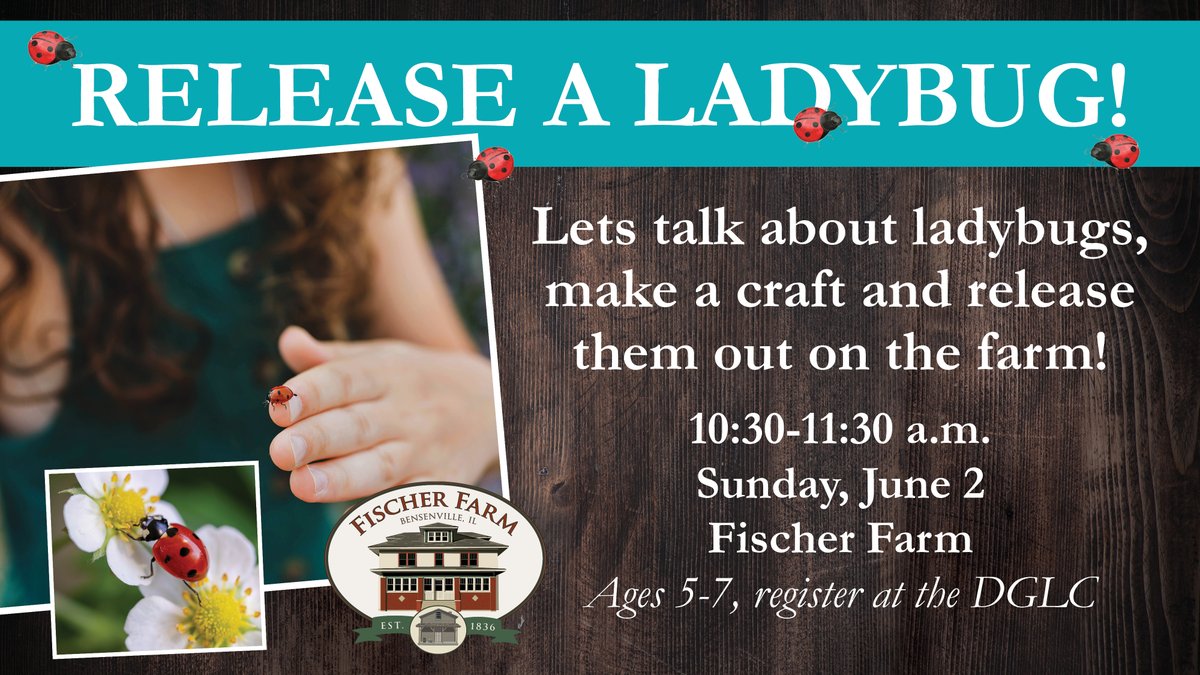 Join #ReleaseALadybug at Fischer Farm! 🐞 On Sunday, June 2, make a craft and learn about the tiny garden creatures. Register by Sunday, May 26. 

#FischerFarm #Ladybug #ArtsAndCrafts #NatureAdventure