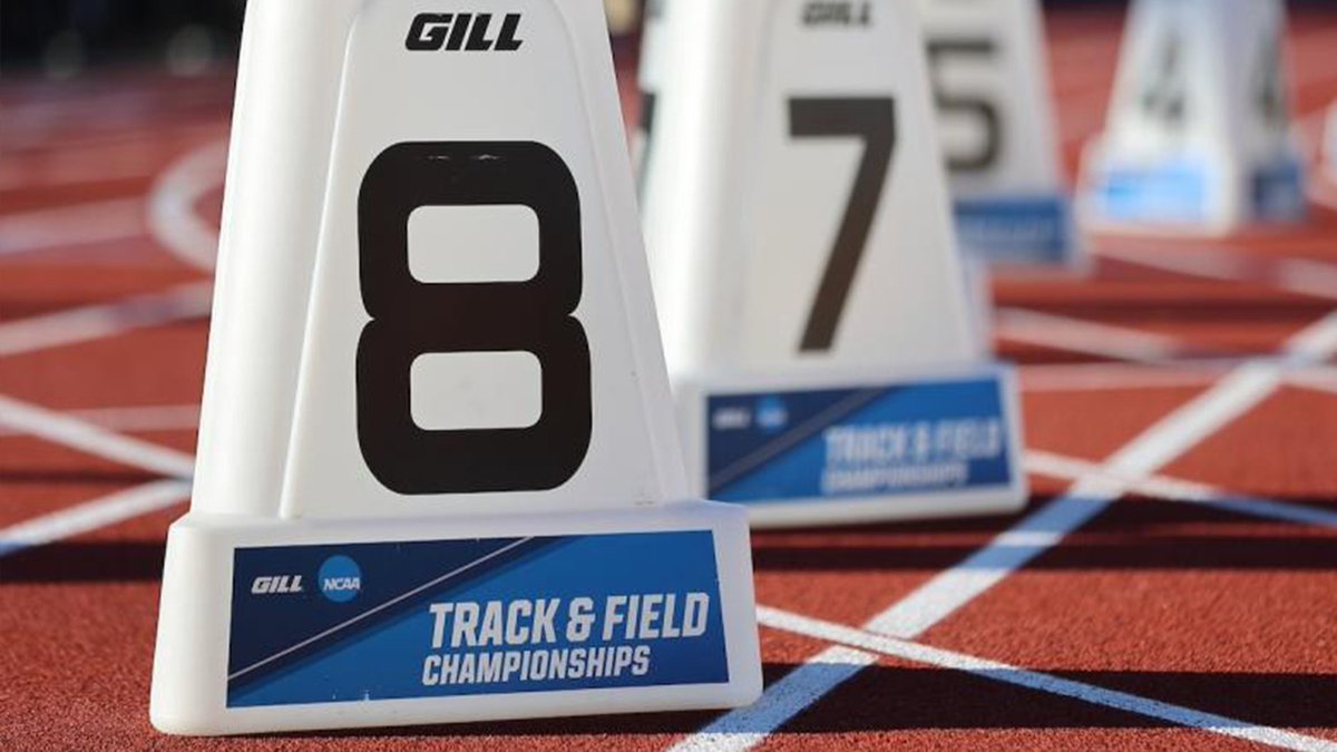 Good luck to our 8 #LandmarkWTF NCAA Qualifiers!

<a href="/CatholicU_Cards/">Catholic University Athletics</a> : Lauren Cerda, Clare Marsh, Emily Moehringer

<a href="/EtownBlueJays/">Etown Athletics</a> : Kelty Oaster

<a href="/GoucherSports/">Goucher Gophers</a> : Tanise Thornton-Fillyaw

<a href="/MUGreyhounds/">Moravian Greyhounds</a> : Lexi Groff

<a href="/GOSusqU/">Susquehanna Athletics</a> : Remi Acord, Chloe Yoder

📰 tinyurl.com/mezfs879