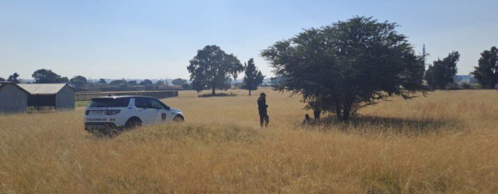 Victim rescued by private security after he was kidnapped and robbed in Brakpan, East Rand.

He was found in bushes.

#CrimeWatch