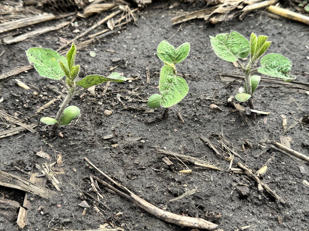 Check it out! The team at the #PTIFarm in Illinois is hard at work planting 𝟭𝟬𝟬+ agronomy trials this spring. Stay tuned for dates to come visit the farm this summer to see what've we've been up to! #plant24