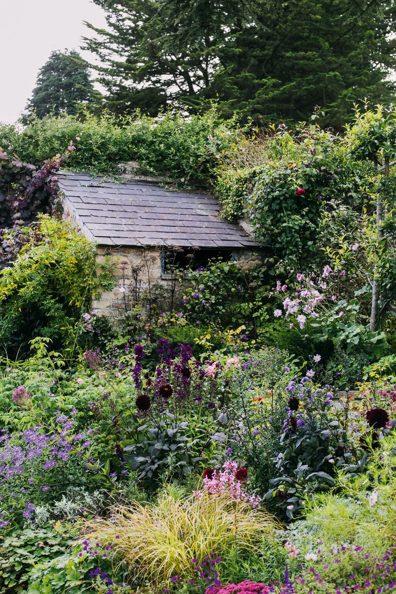 Want a charming, overgrown English cottage garden? Lottie Delamain examines one belonging to our Top 50 garden designer Libby Russell and analyses the components: trib.al/YMzvsX5