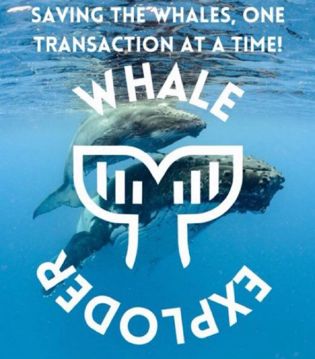 WHEXcosystem tweet media