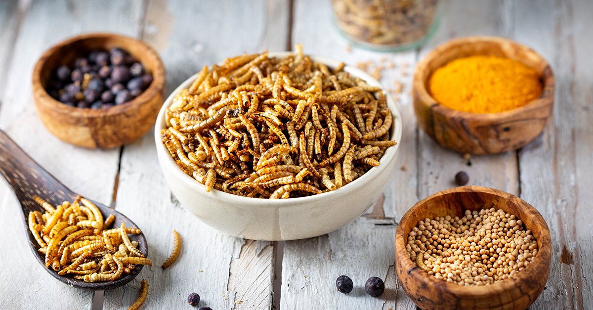 A review in #IFTJournals explores the safety challenges and opportunities associated with new food sources and systems such as plant-derived proteins, insects, and 3D food printing. Read more: hubs.la/Q02xM8Pf0 #IFTSpotlight