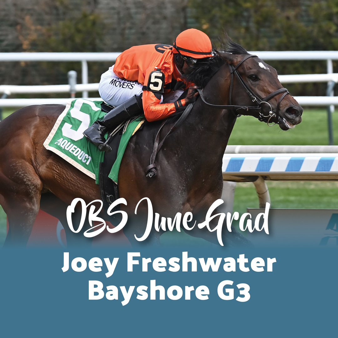 Joey Freshwater (Jimmy Creed) has career earnings of over $480k with his most notable win in the G3 Bay Shore Stakes and most recently the G3 Runhappy Stakes, both at Aqueduct. Get your next champion at OBS June on June 12th - 14th. #obssales #obsjune