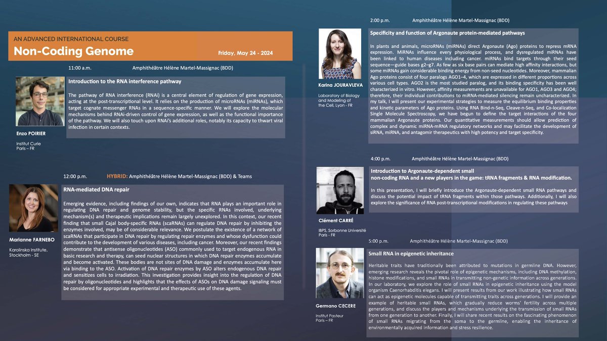 Tomorrow in Non-Coding Genome course another exceptional line-up with experts in the field of small #ncRNAs

Anticipating the tomorrow's sessions with @Poirier_Lab  Marianne Farnebo, @KarinaJouravl @ClmentCarr5 and @cecerelab 

#NCG2024 #NC24 #ncRNA @institut_curie